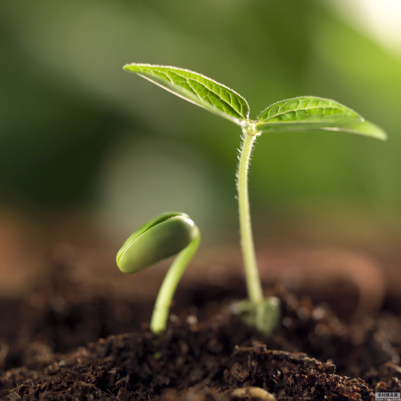 選擇凱能鍋爐，共創(chuàng)綠色家園